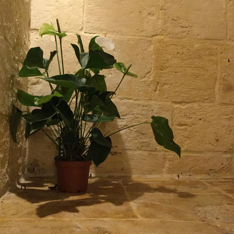 Bed and Breakfast Princess Elena Valletta Exterior foto